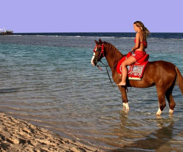 Sentido Akassia Beach in Marsa Alam paardrijden op het strand